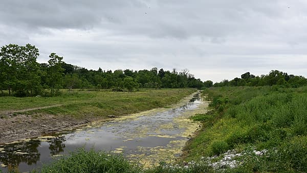 A wide concrete overpass under construction with formwork and scaffolding beneath a gray overcast sky